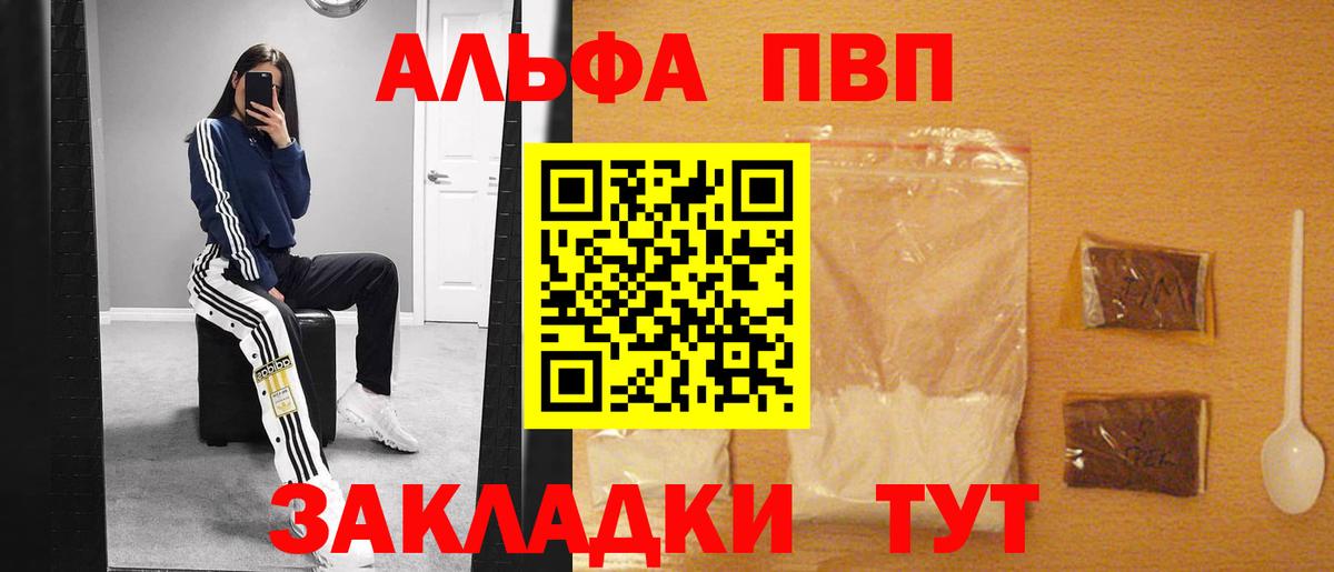 A PVP СК КРИС Обь
