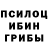 Галлюциногенные грибы GOLDEN TEACHER 19:45 ADA