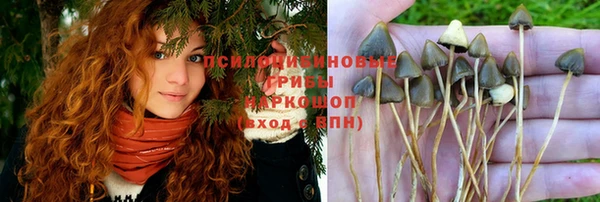 герыч Зеленодольск