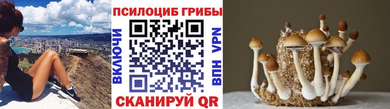 магазин наркотиков Обь Галлюциногенные грибы ЛСД