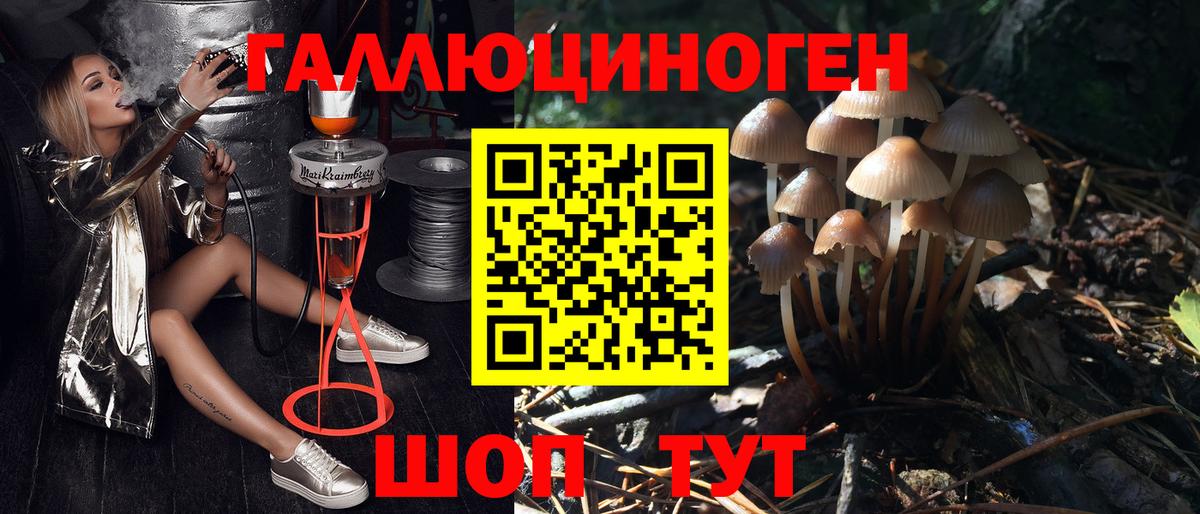 Галлюциногенные грибы мицелий Обь