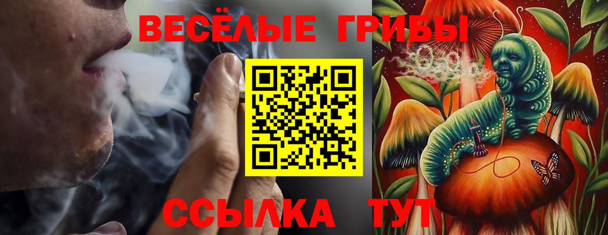 Меф мяу мяу Обь
