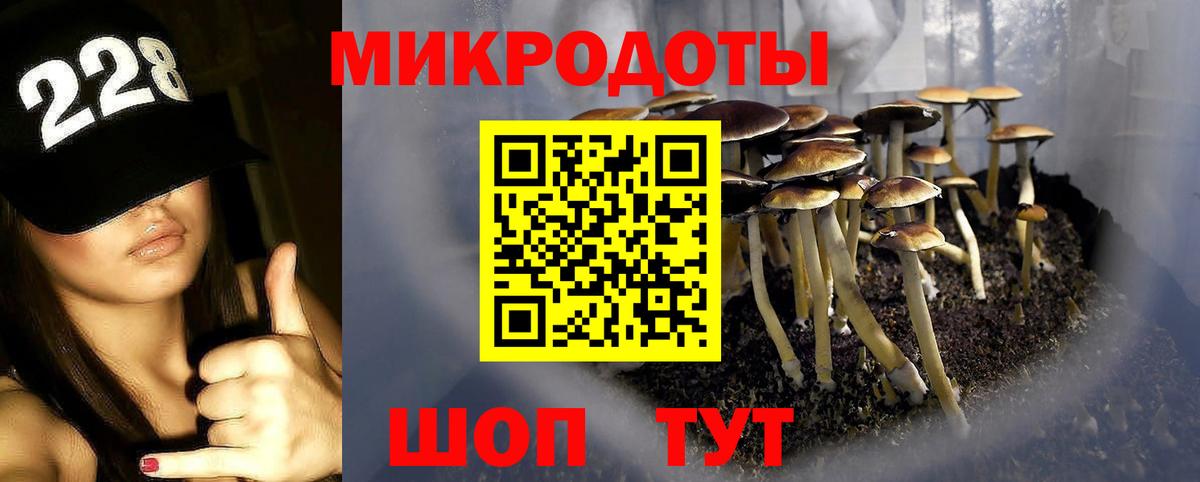 Псилоцибиновые грибы Psilocybine cubensis  Вход с VPN  Обь 